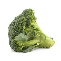 Organik Brokoli, (500 gr) **
