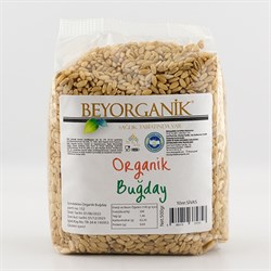 Organik Buğday (500 gr) Beyorganik