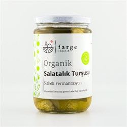 Organik Salatalık Turşusu (600 gr) Farge